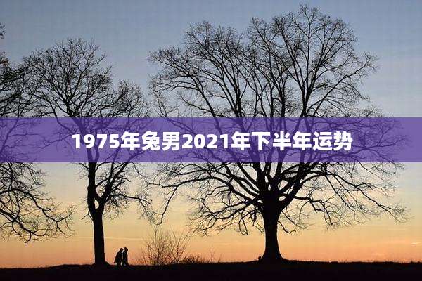 1975年兔男2021年下半年运势