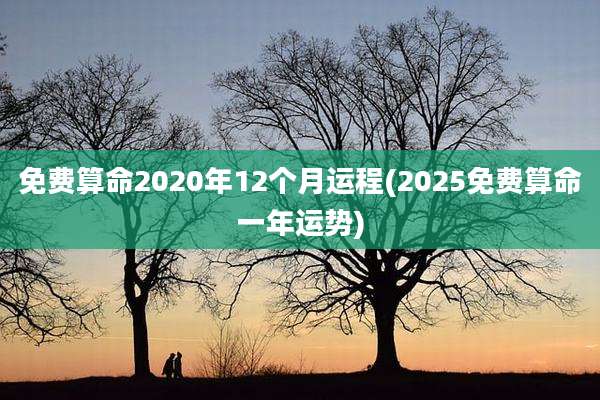 免费算命2020年12个月运程(2025免费算命一年运势)