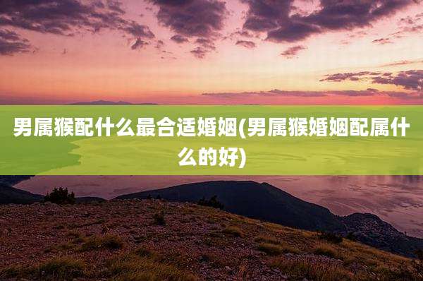 男属猴配什么最合适婚姻(男属猴婚姻配属什么的好)