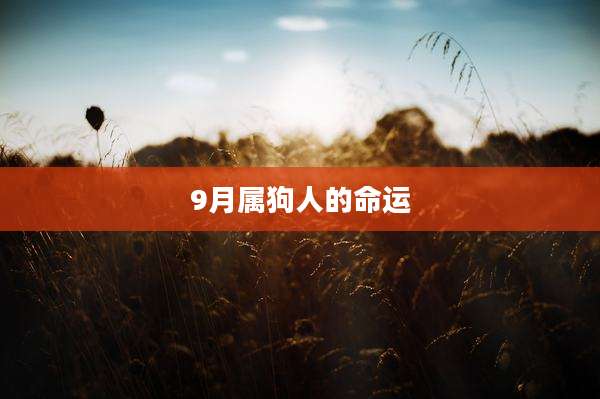 9月属狗人的命运
