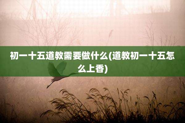 初一十五道教需要做什么(道教初一十五怎么上香)