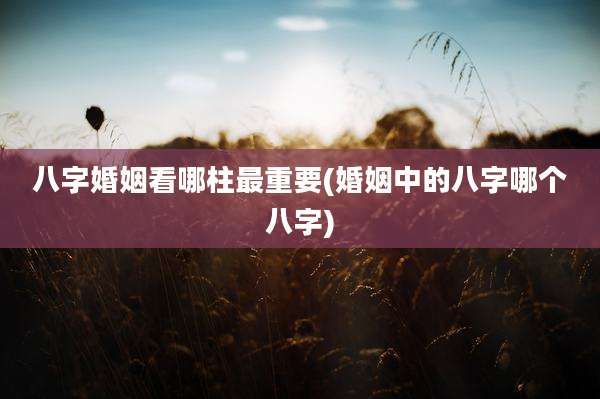 八字婚姻看哪柱最重要(婚姻中的八字哪个八字)
