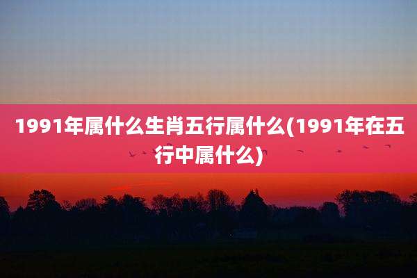 1991年属什么生肖五行属什么(1991年在五行中属什么)