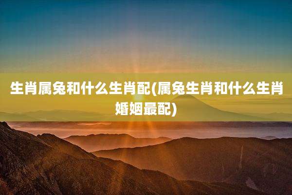 生肖属兔和什么生肖配(属兔生肖和什么生肖婚姻最配)