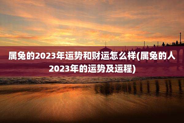 属兔的2023年运势和财运怎么样(属兔的人2023年的运势及运程)