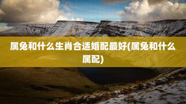 属兔和什么生肖合适婚配最好(属兔和什么属配)