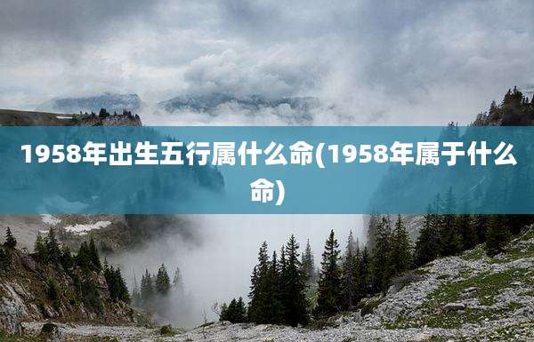 1958年出生五行属什么命(1958年属于什么命)