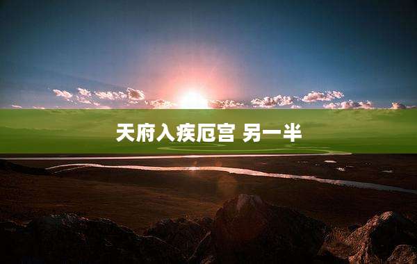 天府入疾厄宫 另一半