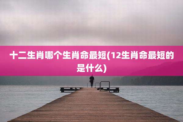 十二生肖哪个生肖命最短(12生肖命最短的是什么)