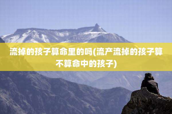流掉的孩子算命里的吗(流产流掉的孩子算不算命中的孩子)