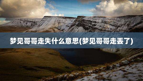 梦见哥哥走失什么意思(梦见哥哥走丢了)