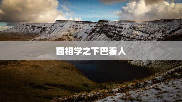 面相学之下巴看人