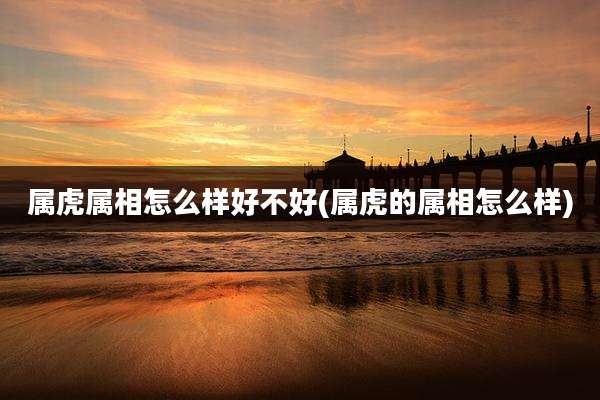 属虎属相怎么样好不好(属虎的属相怎么样)