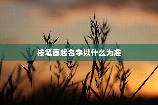 按笔画起名字以什么为准