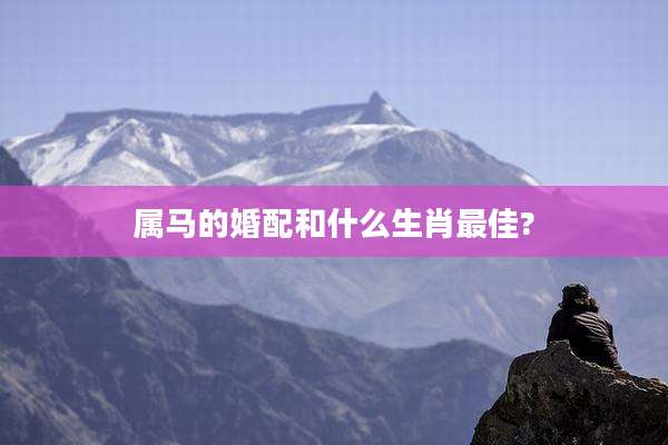 属马的婚配和什么生肖最佳?
