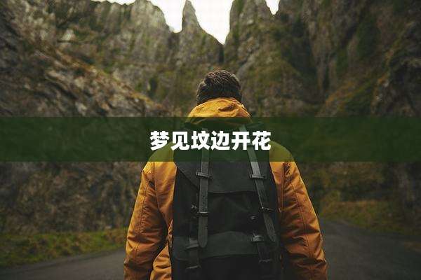 梦见坟边开花