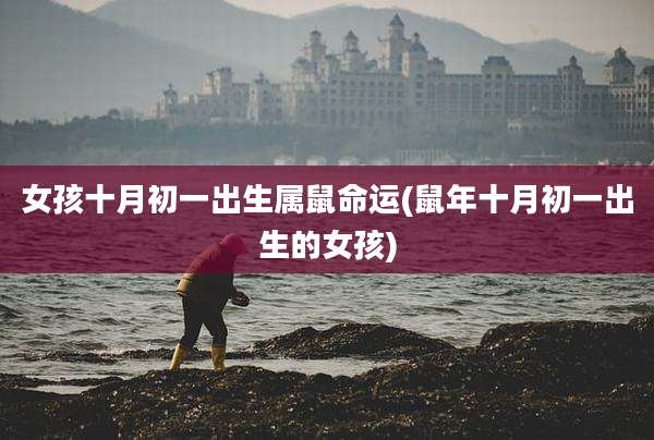 女孩十月初一出生属鼠命运(鼠年十月初一出生的女孩)