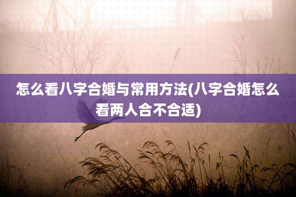 怎么看八字合婚与常用方法(八字合婚怎么看两人合不合适)