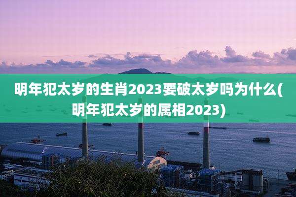 明年犯太岁的生肖2023要破太岁吗为什么(明年犯太岁的属相2023)