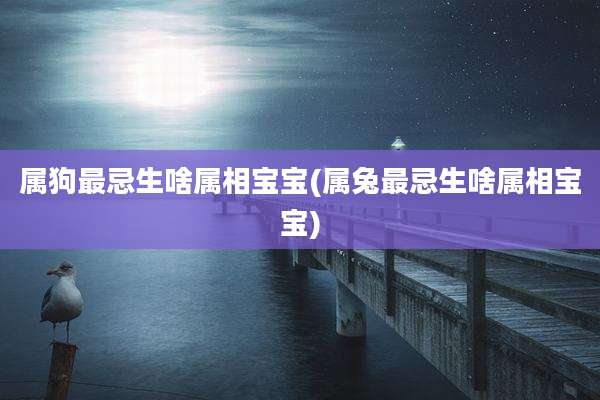 属狗最忌生啥属相宝宝(属兔最忌生啥属相宝宝)