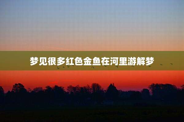 梦见很多红色金鱼在河里游解梦