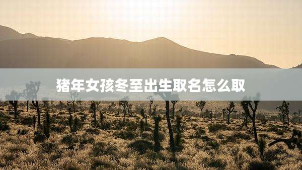 猪年女孩冬至出生取名怎么取