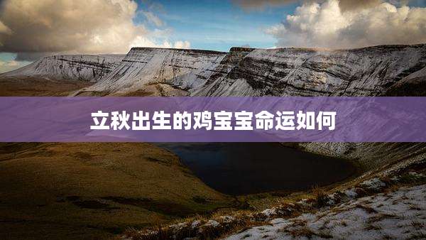 立秋出生的鸡宝宝命运如何