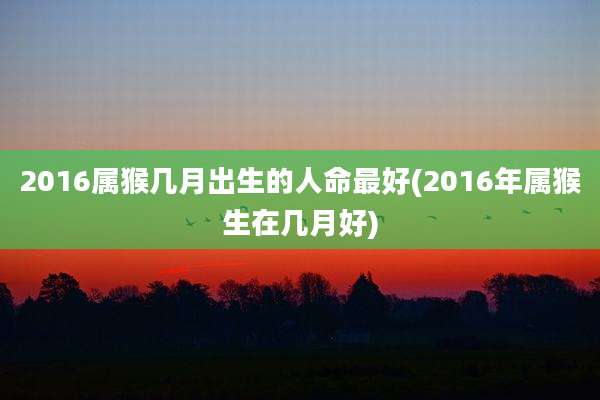 2016属猴几月出生的人命最好(2016年属猴生在几月好)
