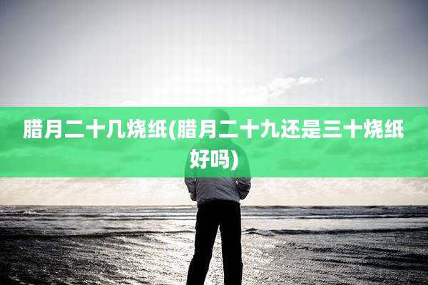 腊月二十几烧纸(腊月二十九还是三十烧纸好吗)