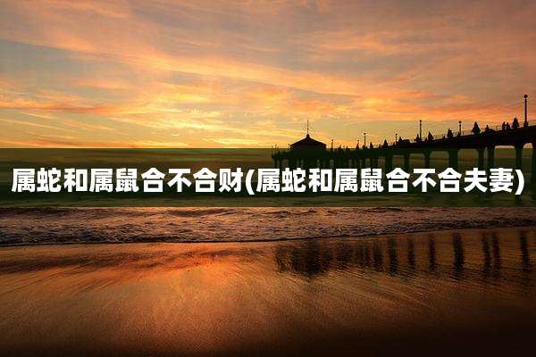 属蛇和属鼠合不合财(属蛇和属鼠合不合夫妻)