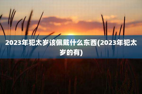 2023年犯太岁该佩戴什么东西(2023年犯太岁的有)
