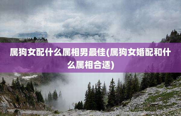 属狗女配什么属相男最佳(属狗女婚配和什么属相合适)