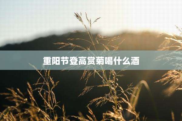 重阳节登高赏菊喝什么酒