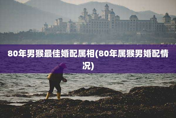 80年男猴最佳婚配属相(80年属猴男婚配情况)