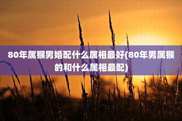 80年属猴男婚配什么属相最好(80年男属猴的和什么属相最配)