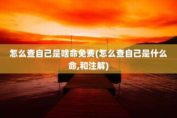 怎么查自己是啥命免费(怎么查自己是什么命,和注解)