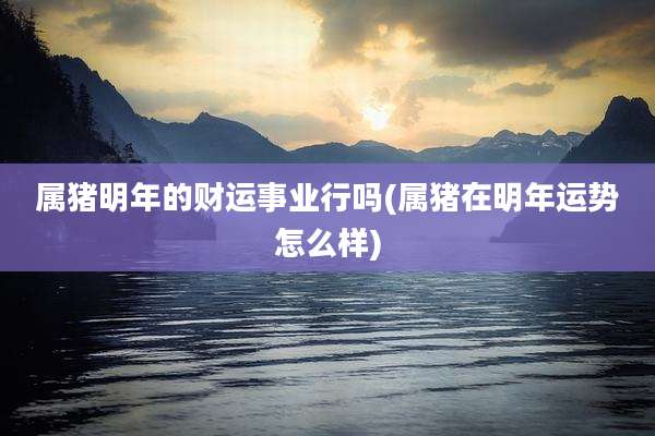 属猪明年的财运事业行吗(属猪在明年运势怎么样)