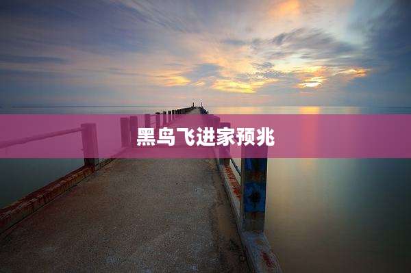 黑鸟飞进家预兆