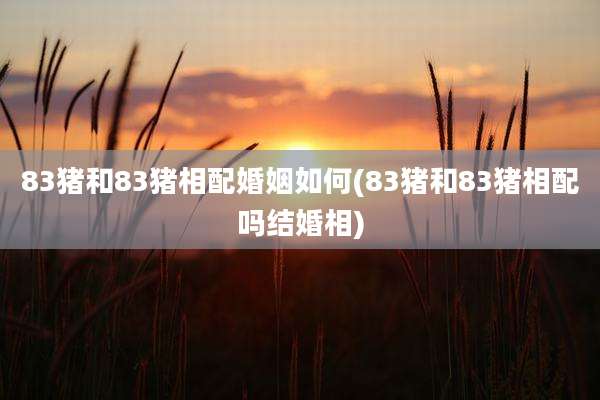 83猪和83猪相配婚姻如何(83猪和83猪相配吗结婚相)