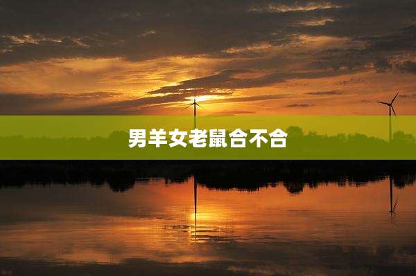 男羊女老鼠合不合