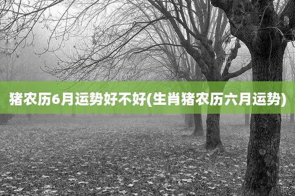 猪农历6月运势好不好(生肖猪农历六月运势)