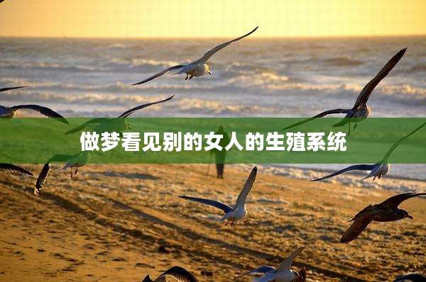 做梦看见别的女人的生殖系统