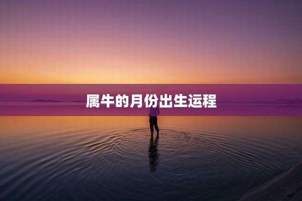 属牛的月份出生运程