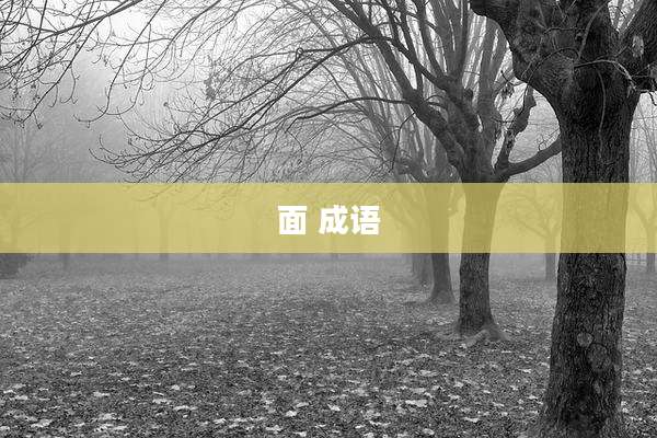 面 成语