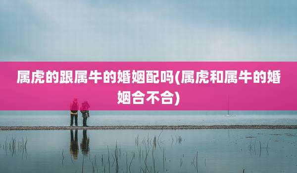 属虎的跟属牛的婚姻配吗(属虎和属牛的婚姻合不合)