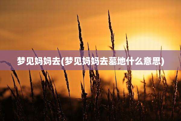 梦见妈妈去(梦见妈妈去墓地什么意思)