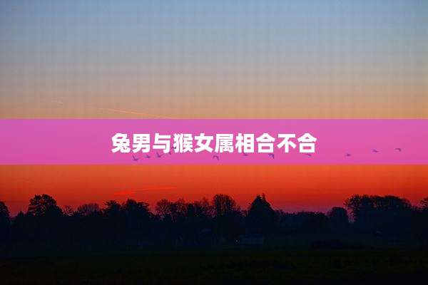 兔男与猴女属相合不合