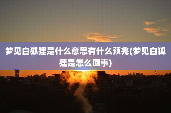 梦见白狐狸是什么意思有什么预兆(梦见白狐狸是怎么回事)