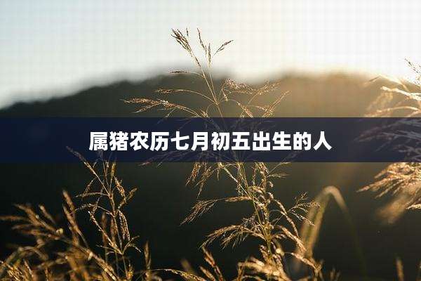 属猪农历七月初五出生的人
