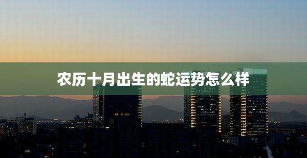 农历十月出生的蛇运势怎么样
